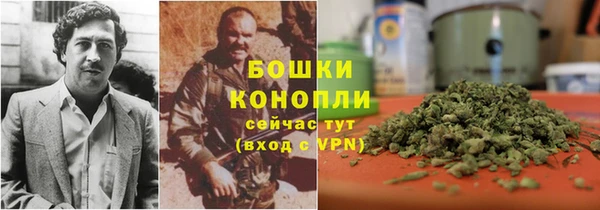 стафф Козловка
