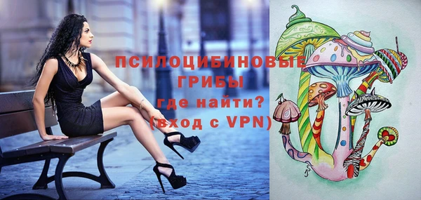 спайс Козельск